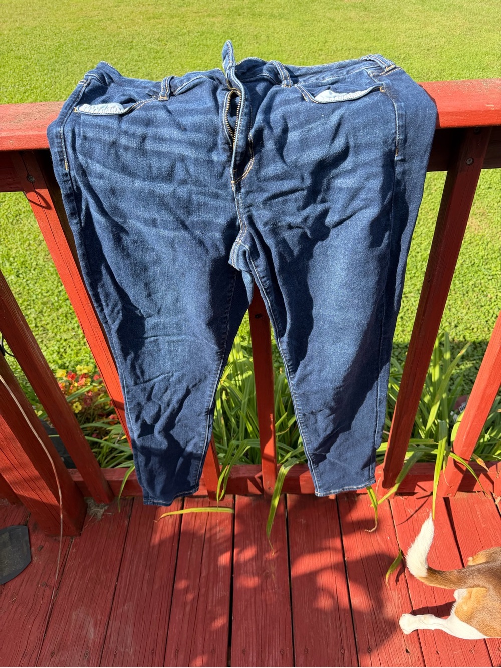 American Eagle Outfitters Dark Indigo Blue Women’s Jeggings